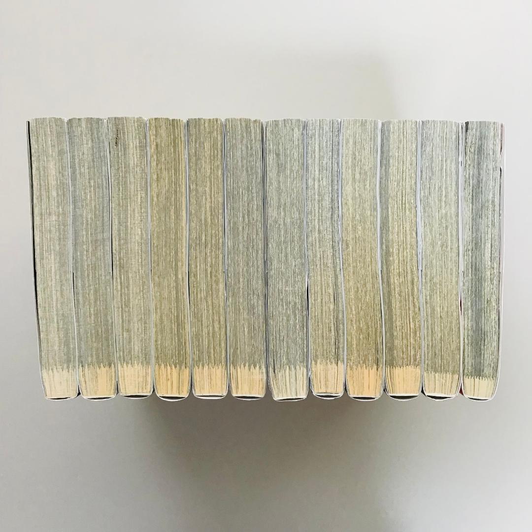 【初版25冊】アカギ 1〜36巻（32〜35巻抜け）全32冊セット