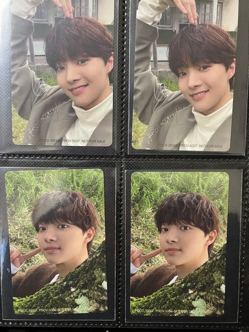 &team ウィジュ トレカ