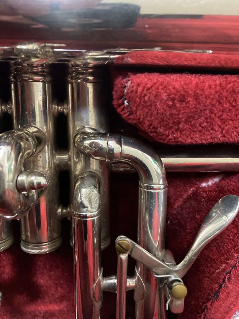 ベッソン　FL ケース付き