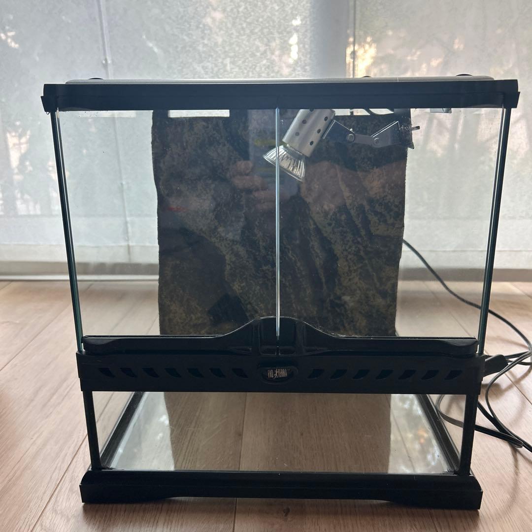 GEXグラステラリウム　3030 爬虫類飼育セット