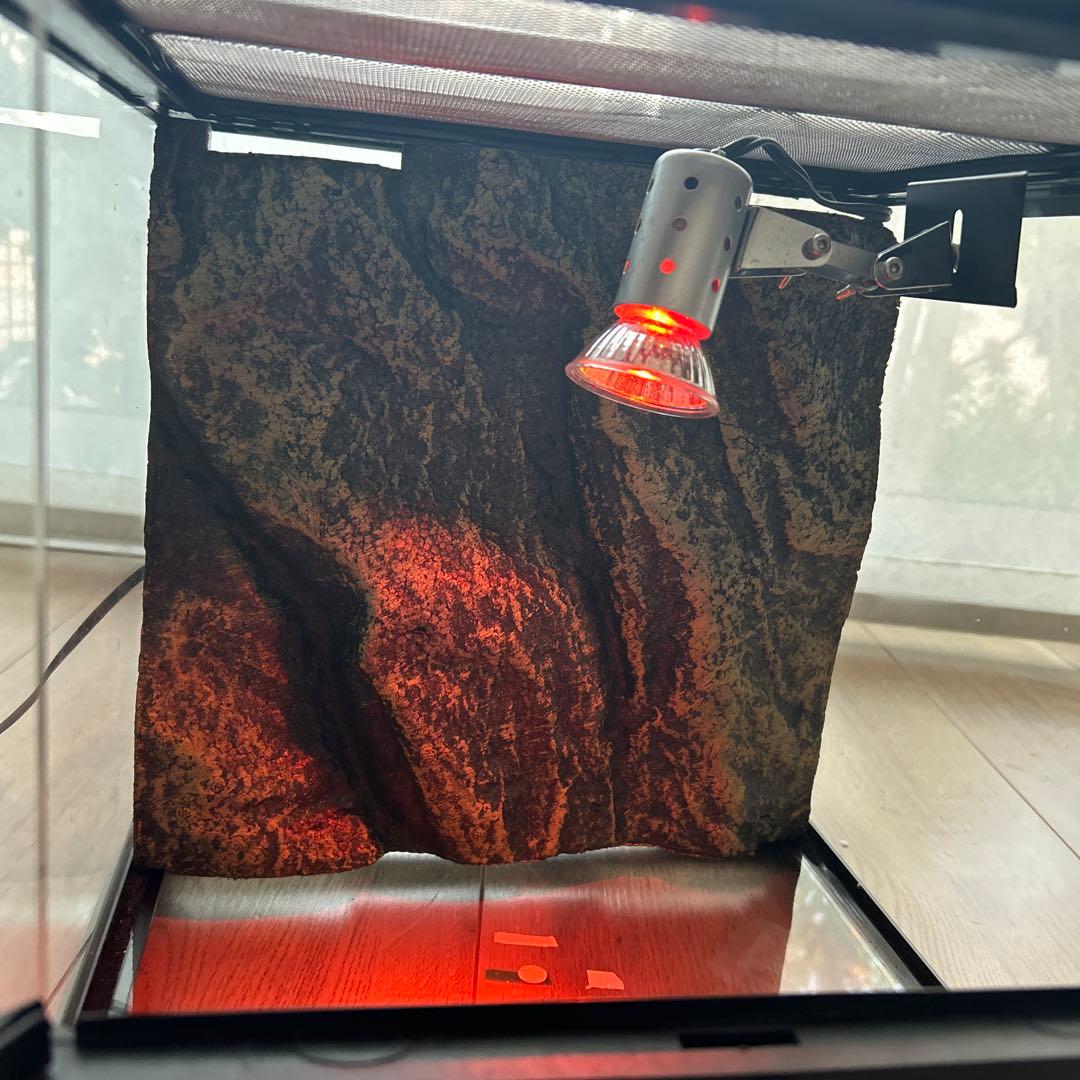 GEXグラステラリウム　3030 爬虫類飼育セット