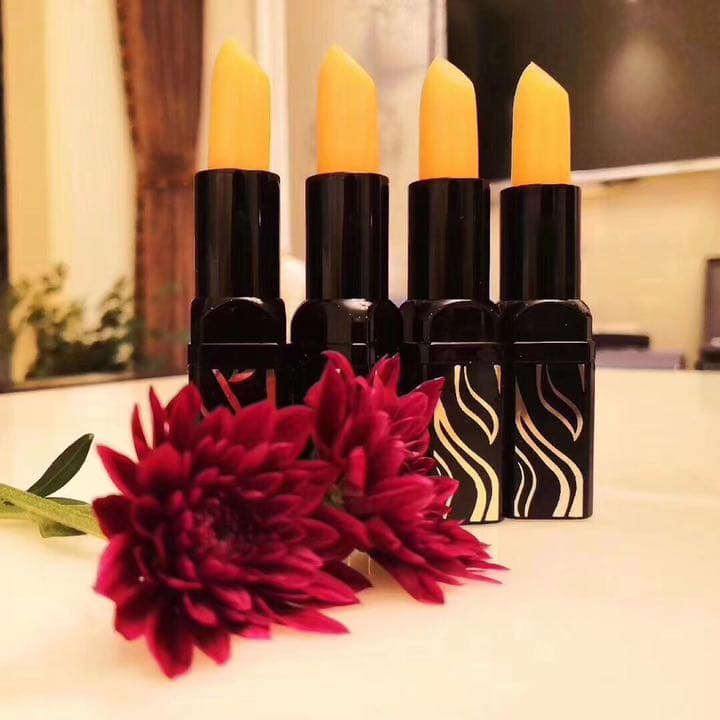 口紅  オールインワンリップスティック10本