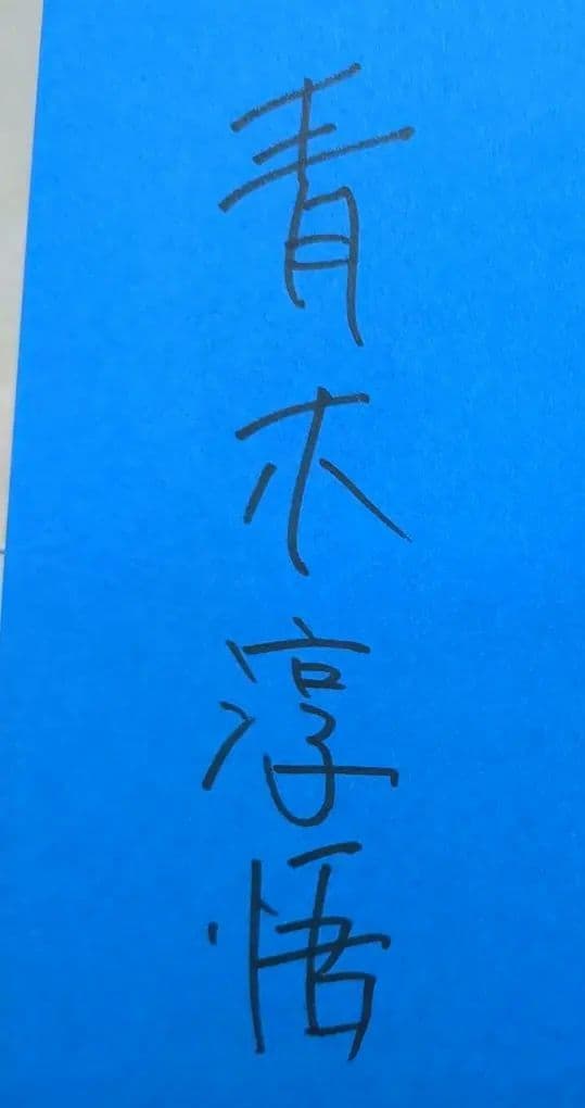 青木淳悟　いい子は家で　このあいだ東京でね　　私のいない高校　男一代之改革
