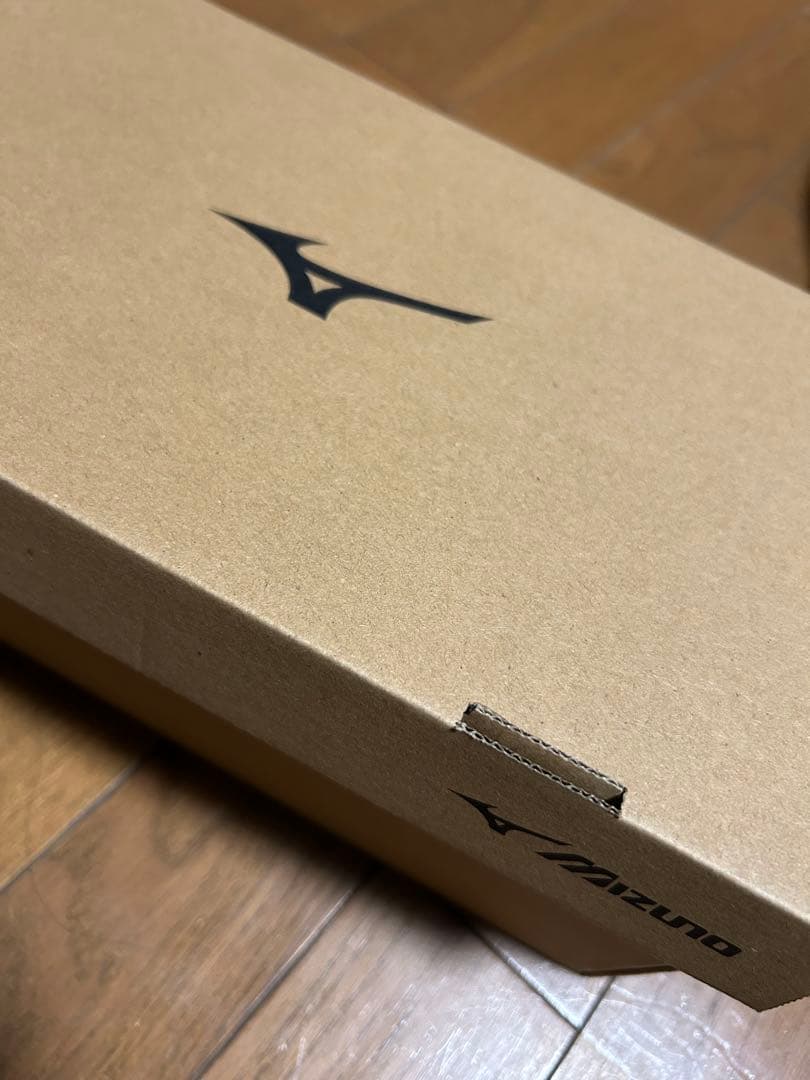 Mizuno ミズノフライ バレーボールシューズ 25㎝