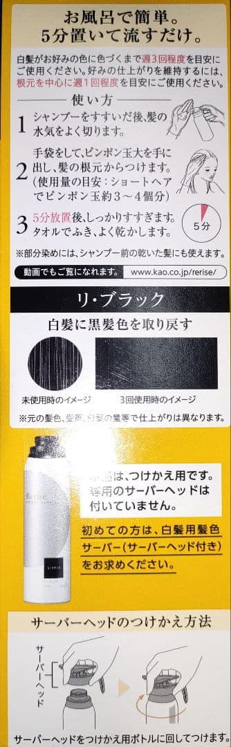 【3本】 リライズ　白髪用髪色サーバー　リ・ブラック　まとまり仕上げ　つけかえ用
