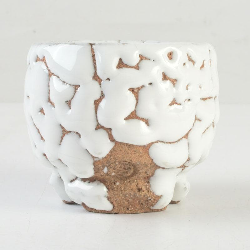 バラ　萩焼　三輪休雪造　盃　ぐい呑　共箱　V　9573