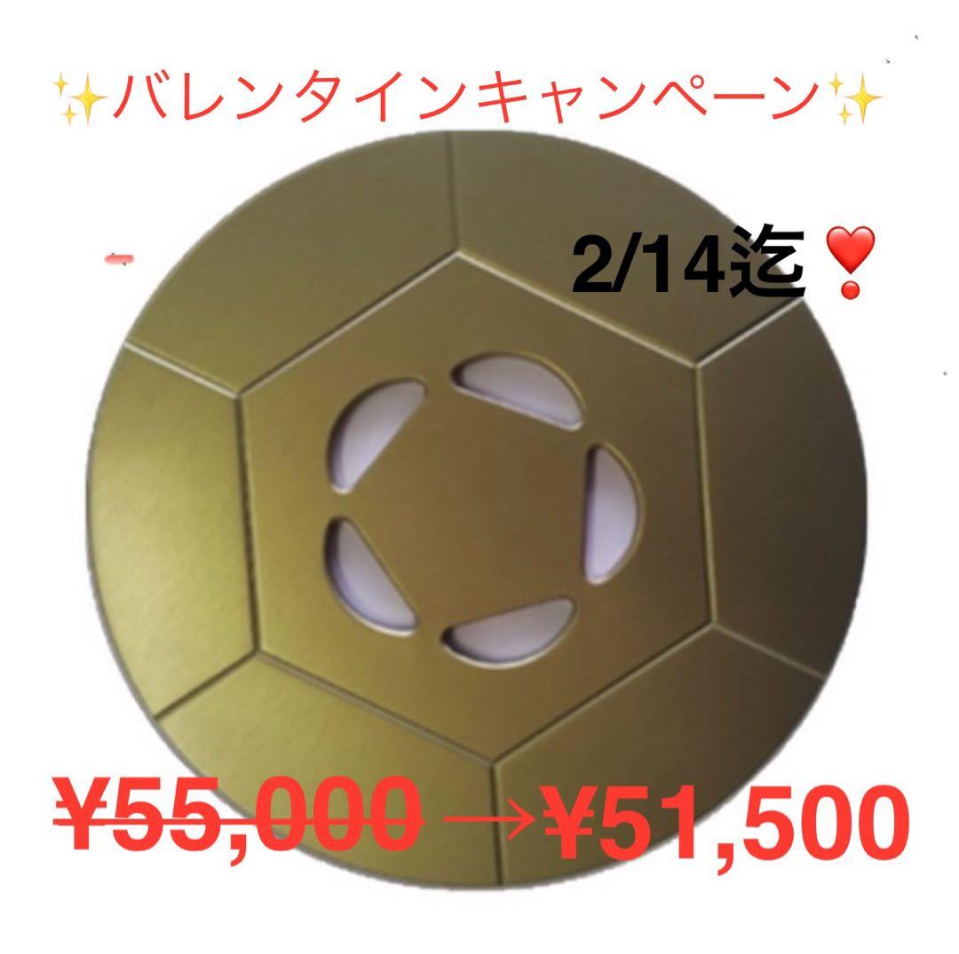 【新品未使用】FTW ビューラプレート★バレンタインキャンペーン★51,500円