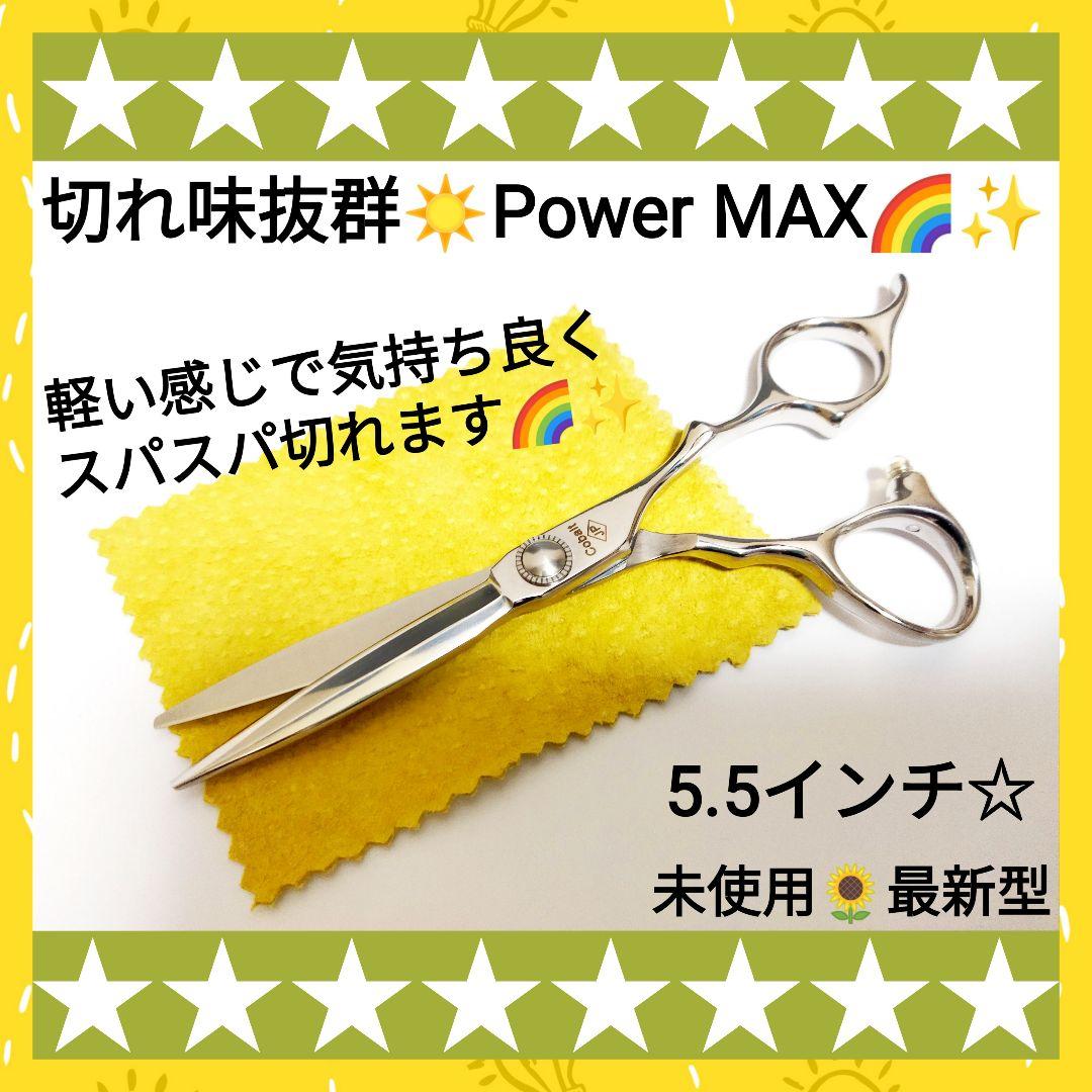 パワー有✨理美容師ヘアメイクプロ用シザーカットバサミ✄トリマートリミングペット可
