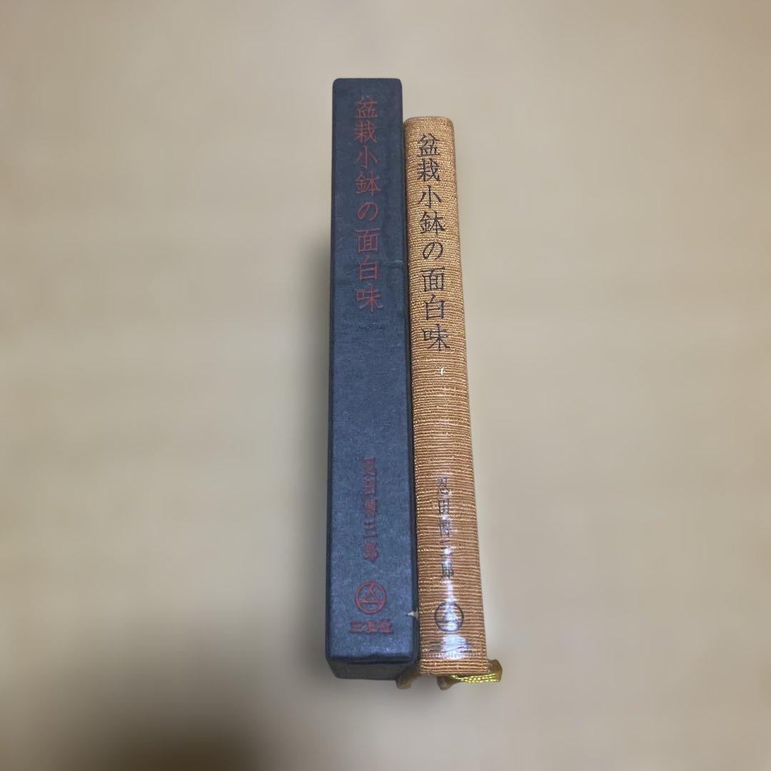 盆栽小鉢の面白味