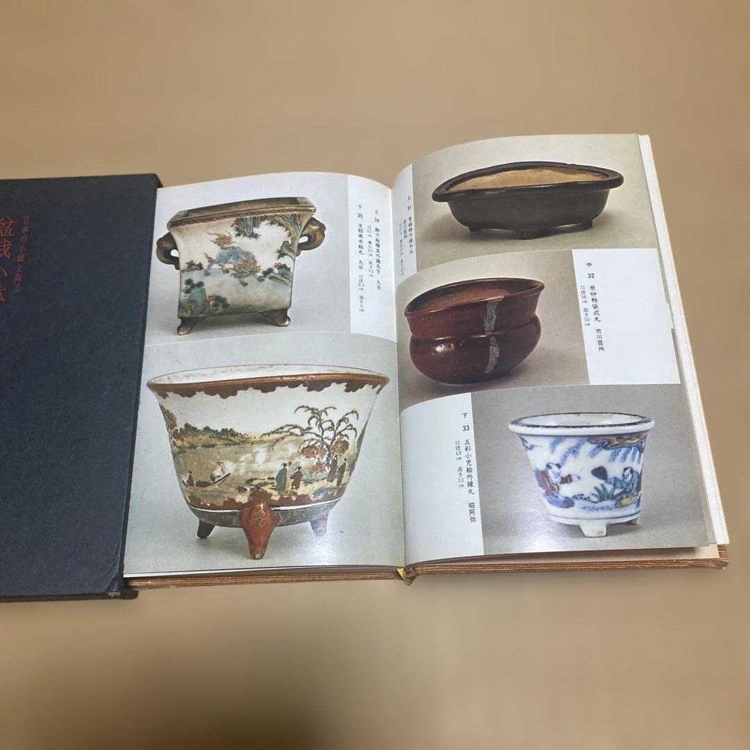 盆栽小鉢の面白味