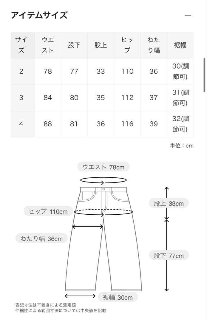 SAN SAN GEAR AFFINE CURVE PANTS_aサイズ3