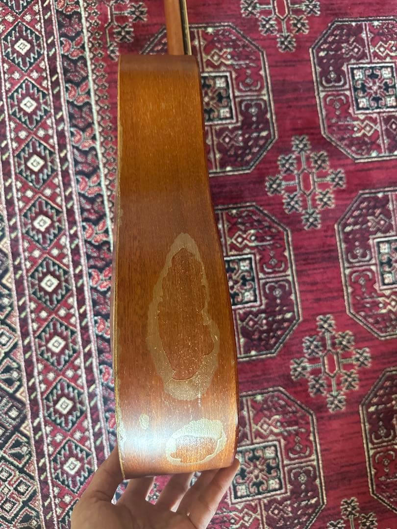 Baby Taylor 301 テイラー 貴重 ベイビーテイラー