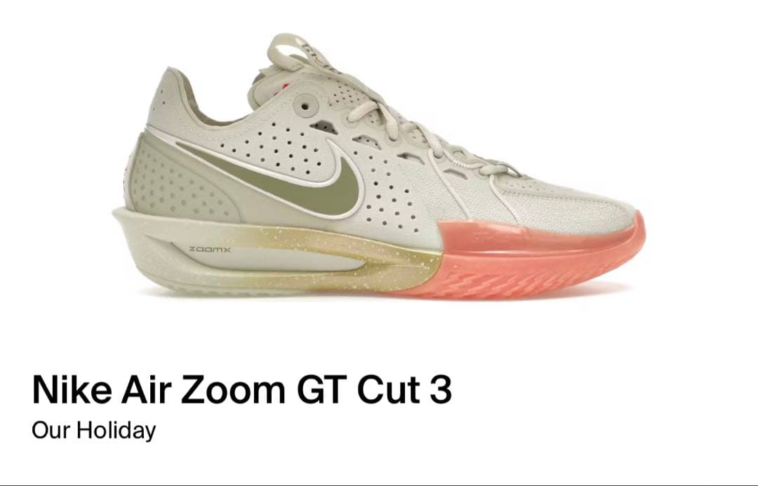 シューズ(男性用) Nike Air Zoom GT Cut 3 Our Holiday
