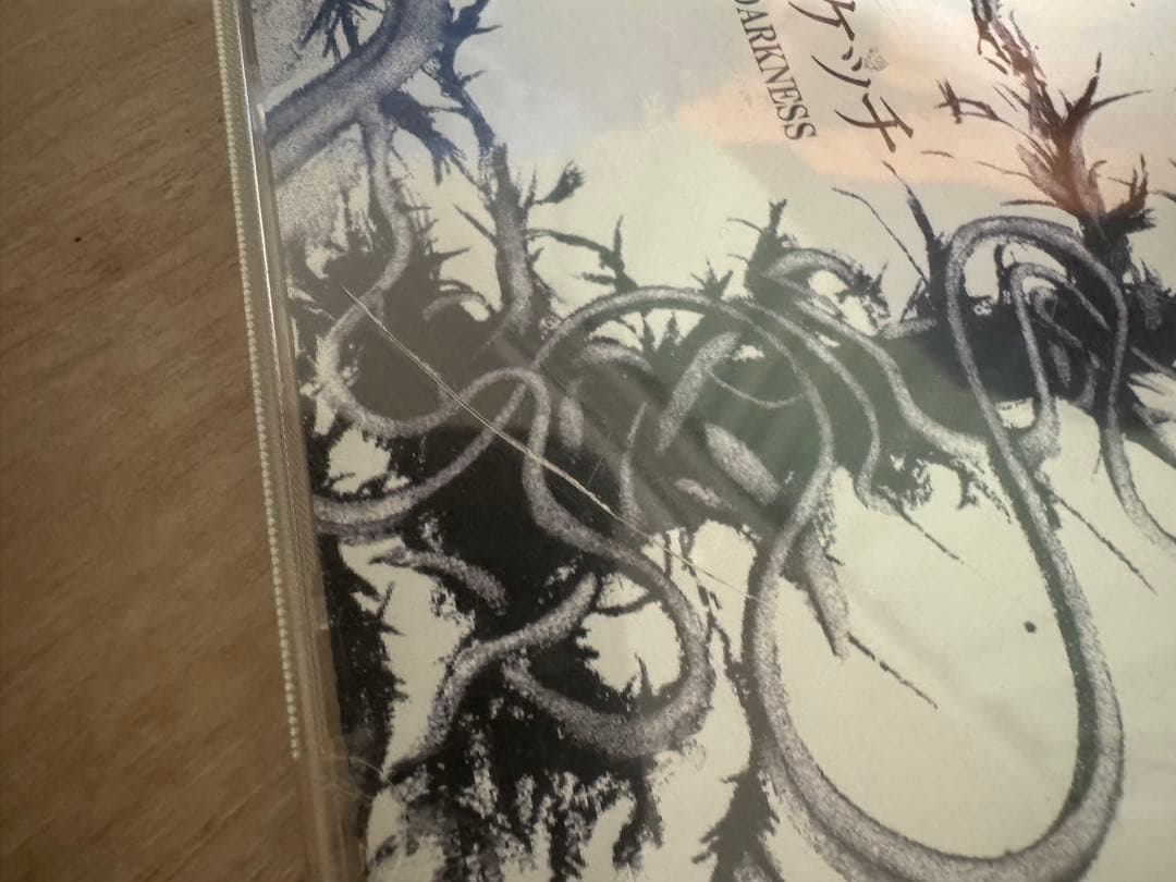 ZONE THE DARKNESS / 心象スケッチ/ ZORN