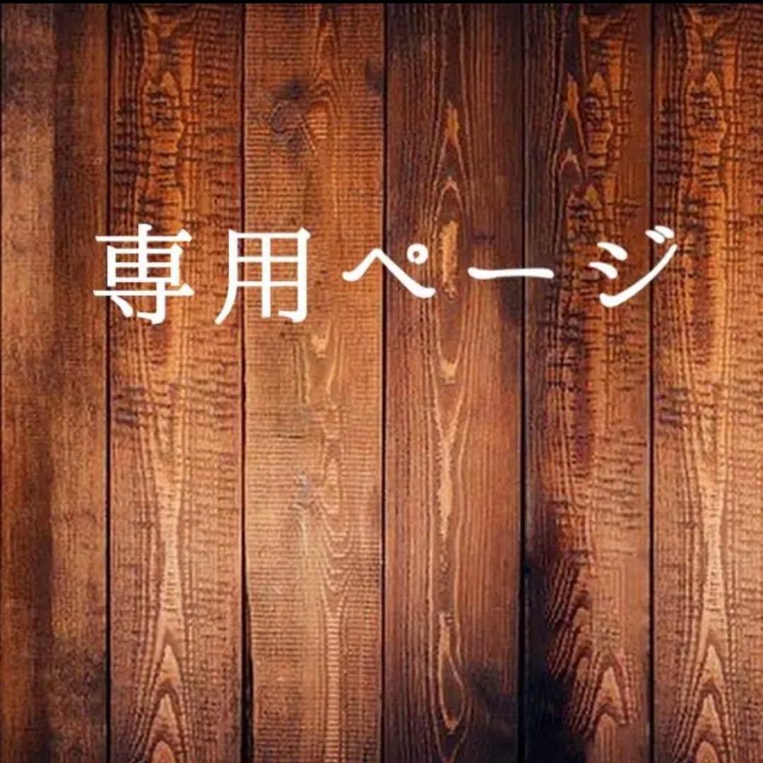 専用ページ　パミロール