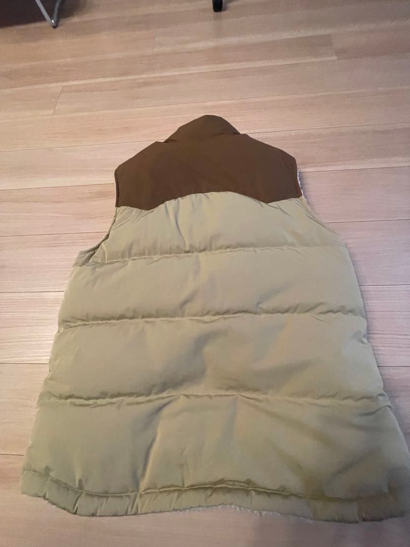patagonia リバーシブルビビーダウンベスト