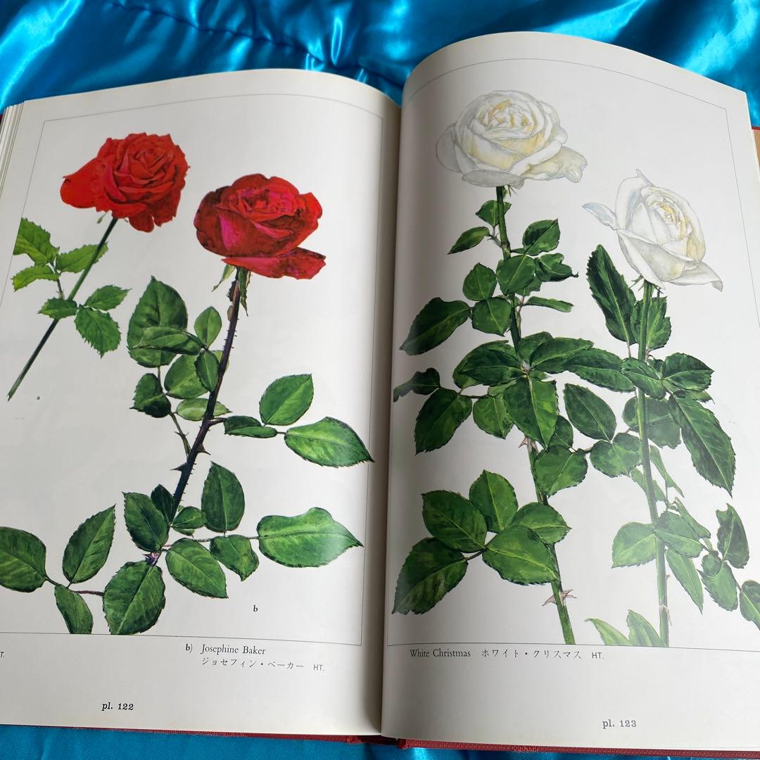 ばら花譜(初版本)