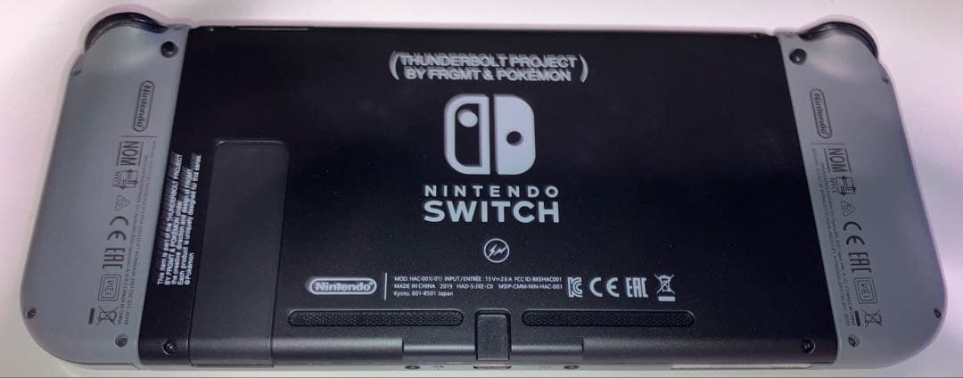 (レア物)Nintendo Switch サンダーボルトプロジェクト版