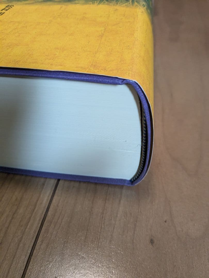 大辞林 第四版　改訂版