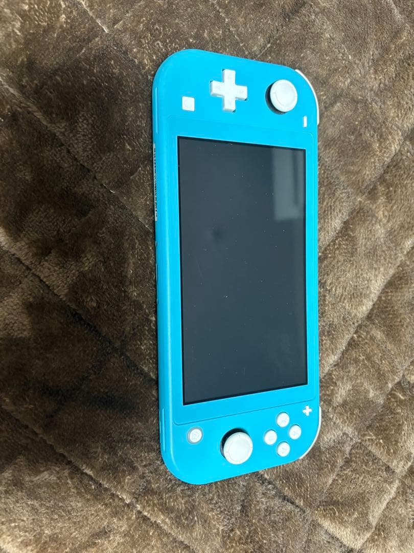 【ぽてさん専用】Nintendo Switch Lite ターコイズ
