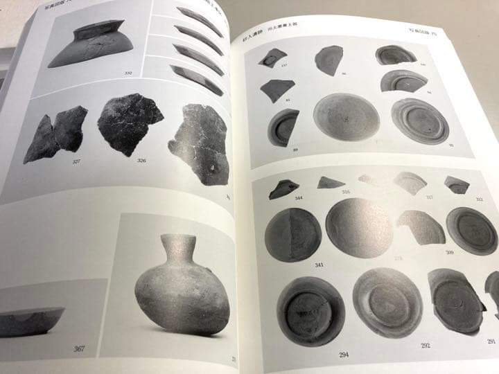 砂入遺跡　〔本文編〕〔図版編〕〔写真図版編〕