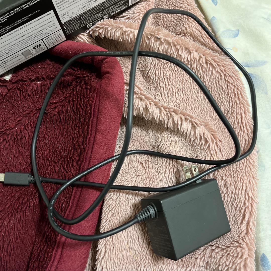 Nintendo Switch Lite 本体 ディアルガパルキア