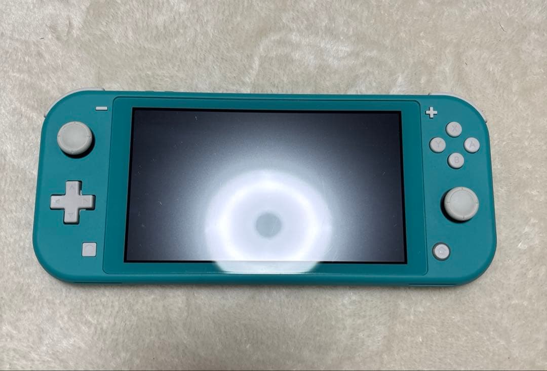 Nintendo Switch Lite 本体・充電ケーブル