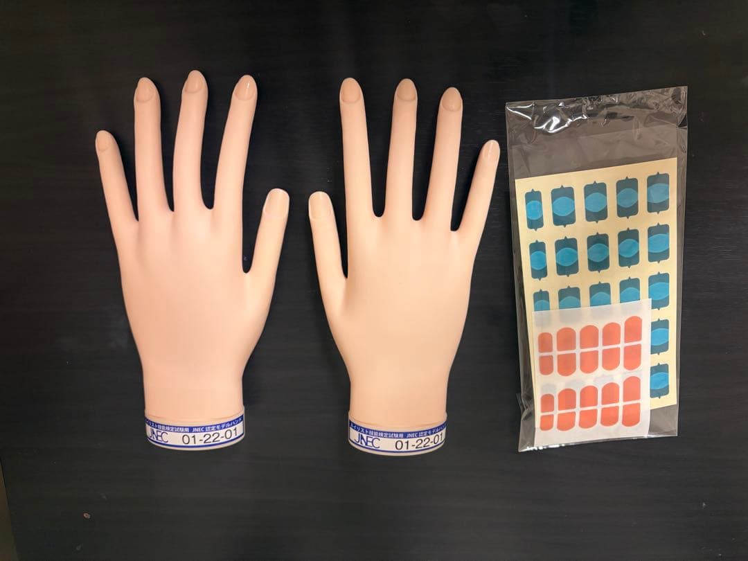 JNEC 認定モデルハンド【骨折ナシ】