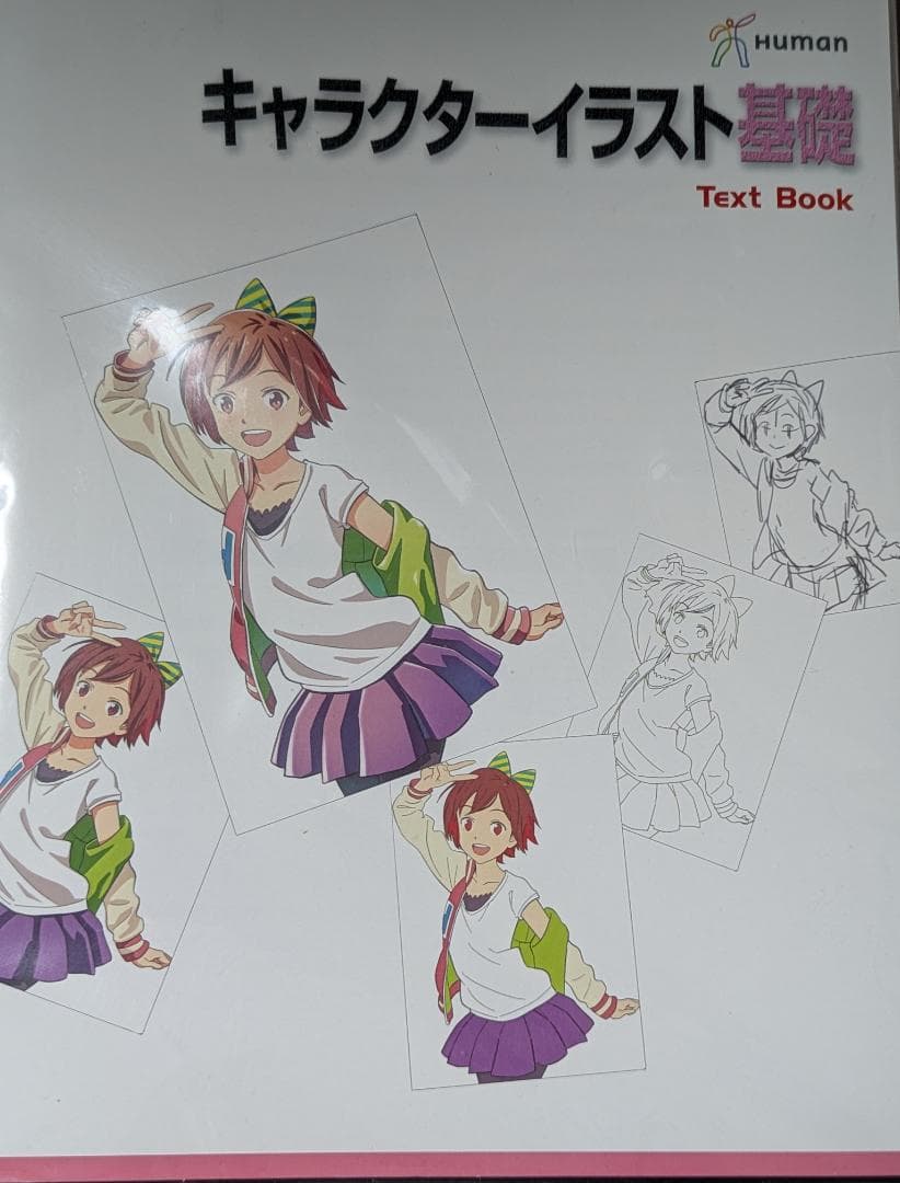 ヒューマンアカデミー イラストマスターコース教材セット DVD＋テキスト