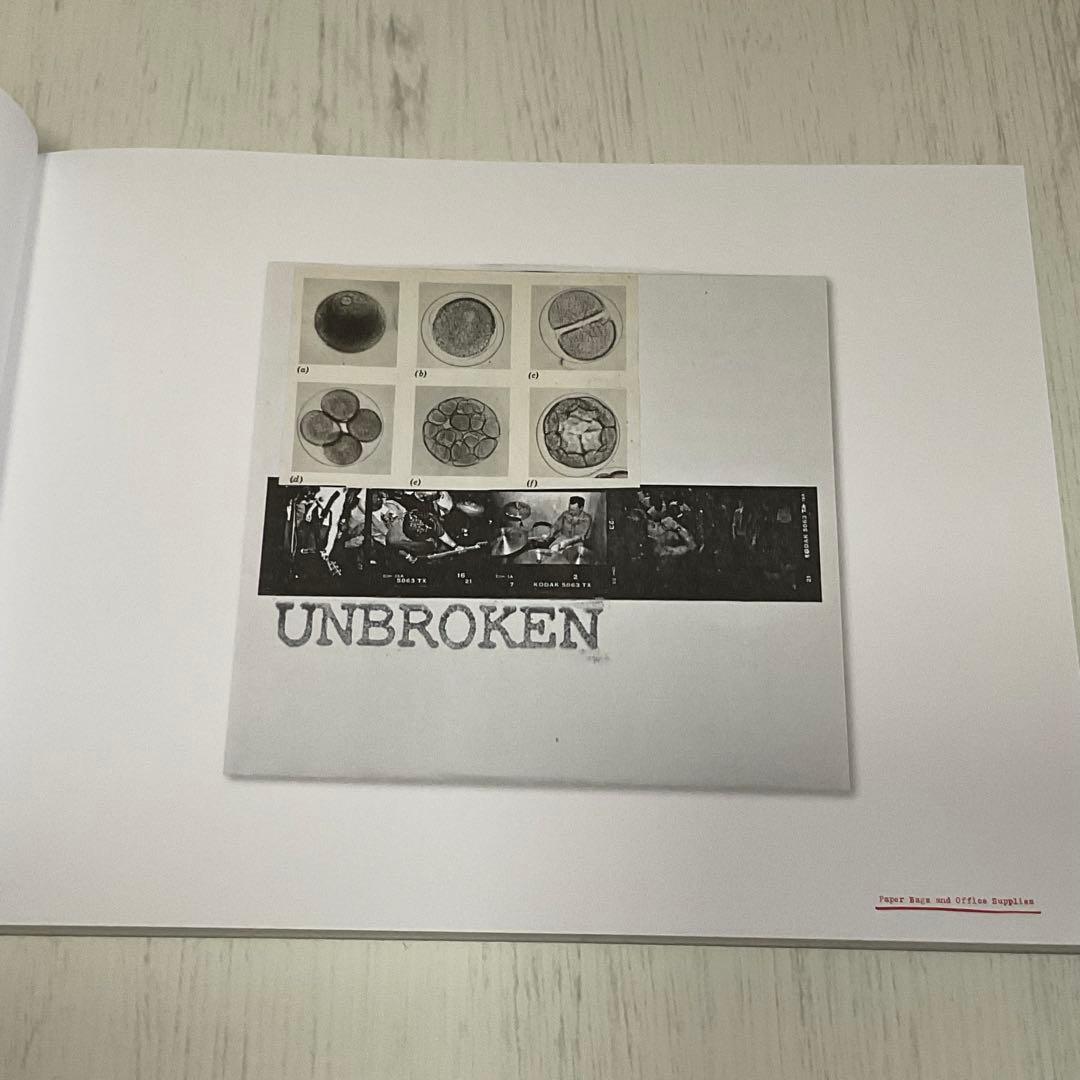 DIY ALBUM ART エモ 激情 アートワーク本