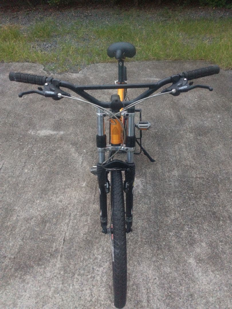 アラヤ マディフォックス MTB マウンテンバイク(ビンテージ)