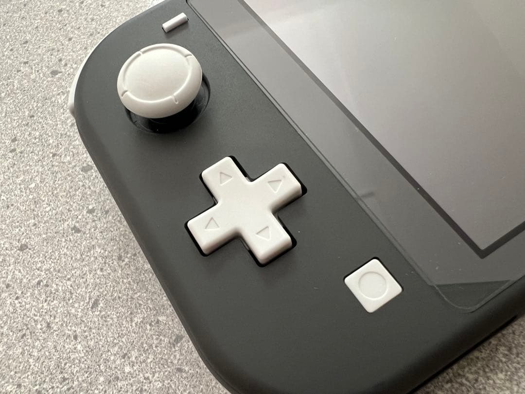 【超美品】Nintendo Switch Lite グレー 本体　ケース付き