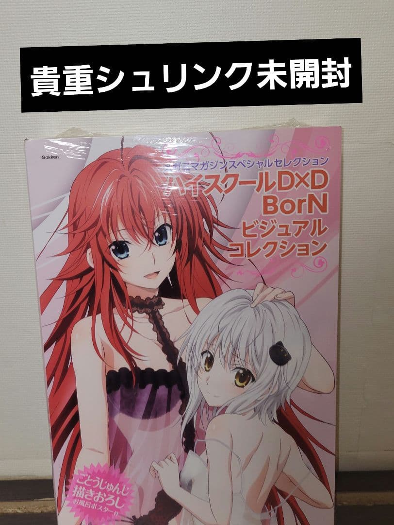 ハイスクールD×D NEW BorN ビジュアルコレクション