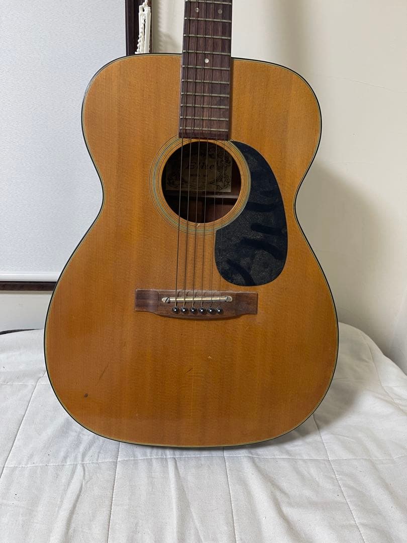 elite f120 takamine アコースティックギター
