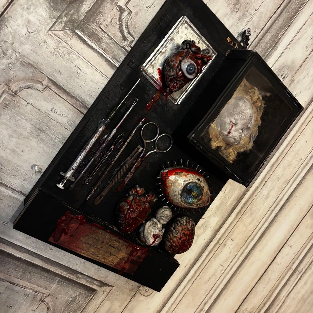 【Special Price】 赤子解剖オブジェ