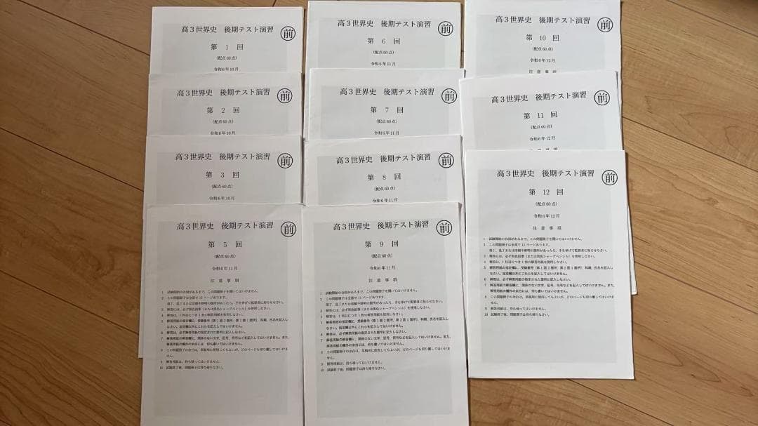 鉄緑会　高3世界史　後期テスト演習全13回（４回目抜け、13回目演習分抜け）