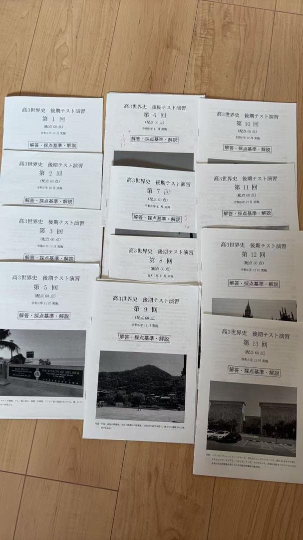 鉄緑会　高3世界史　後期テスト演習全13回（４回目抜け、13回目演習分抜け）