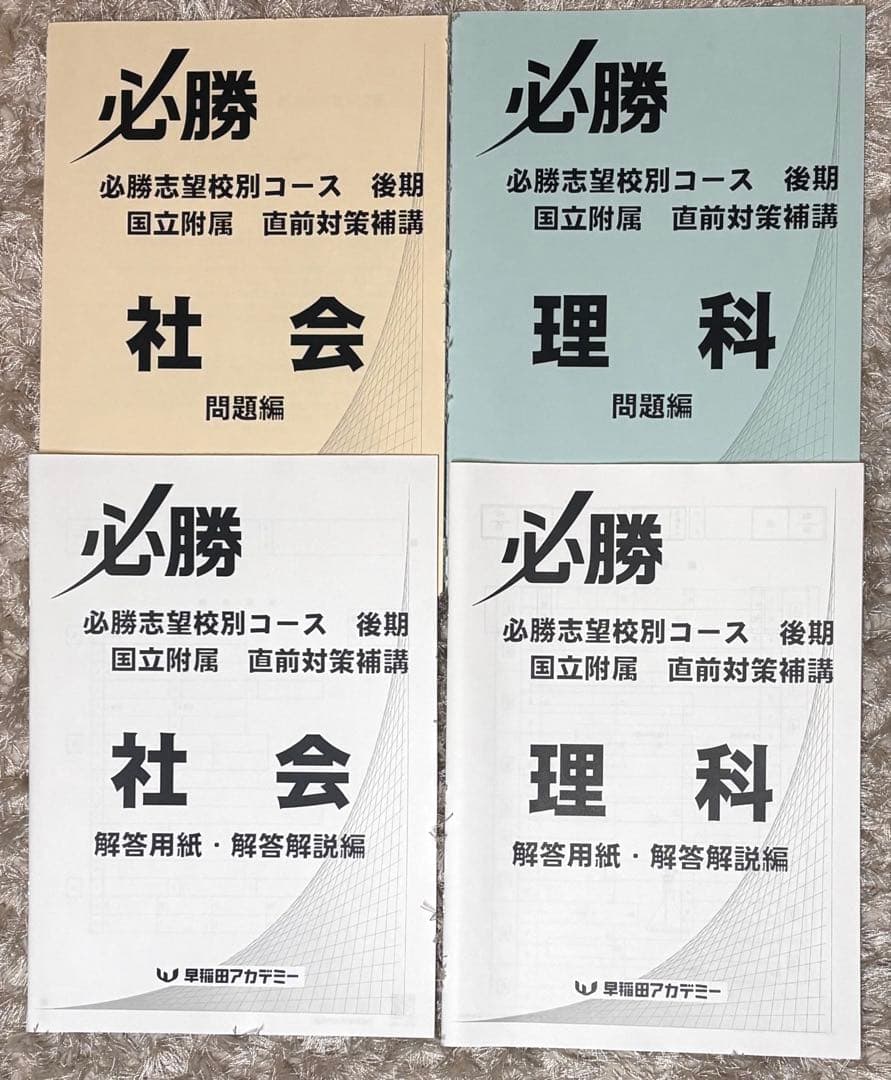 ⚠️大幅値下げしまた⚠️早稲田アカデミー　中学3年生　まとめ売り