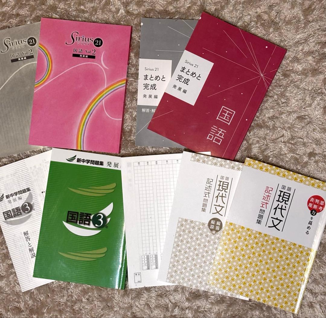 ⚠️大幅値下げしまた⚠️早稲田アカデミー　中学3年生　まとめ売り