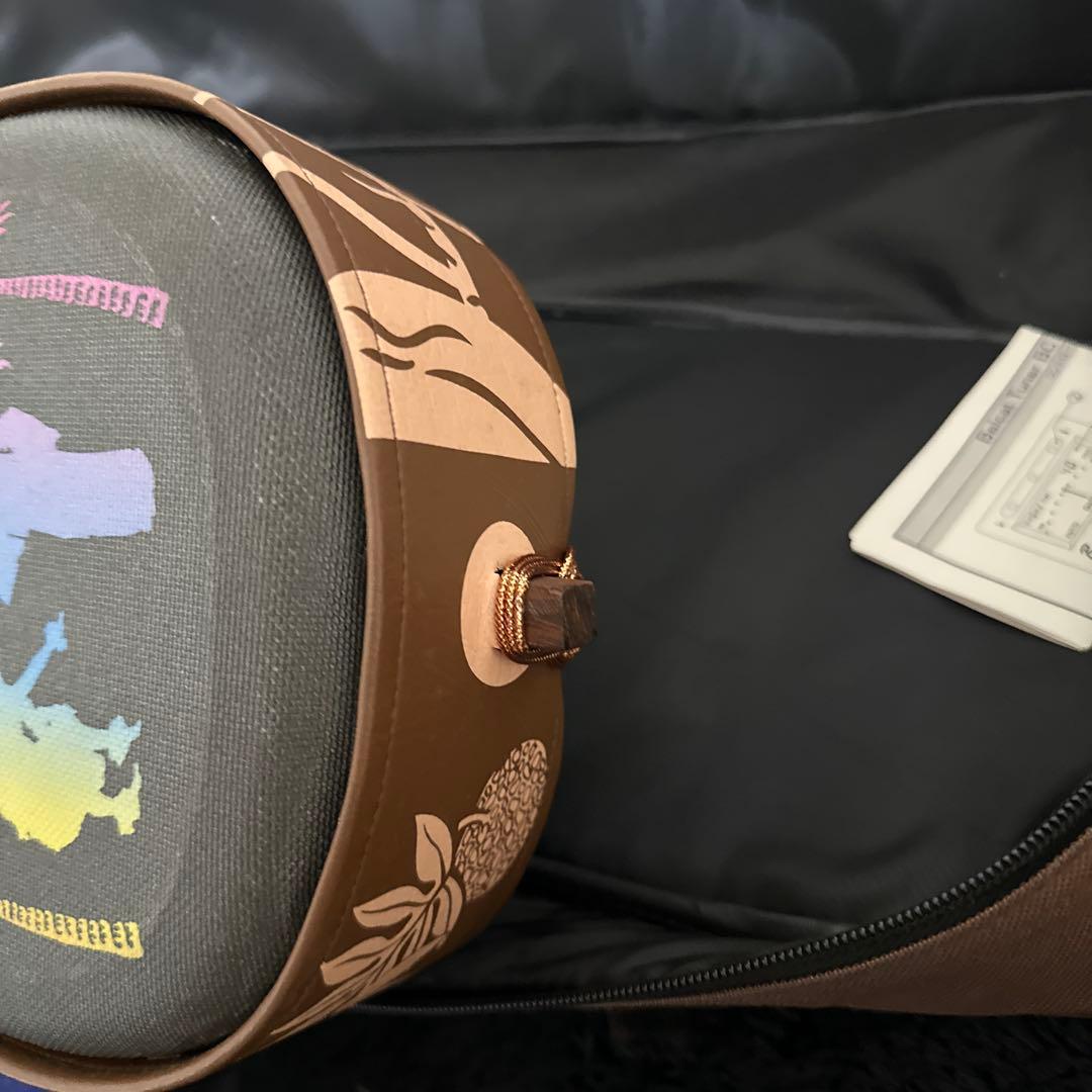 レア! 沖縄三線 和楽器 ハワイ 民族楽器 弦楽器 木目 付属品多数