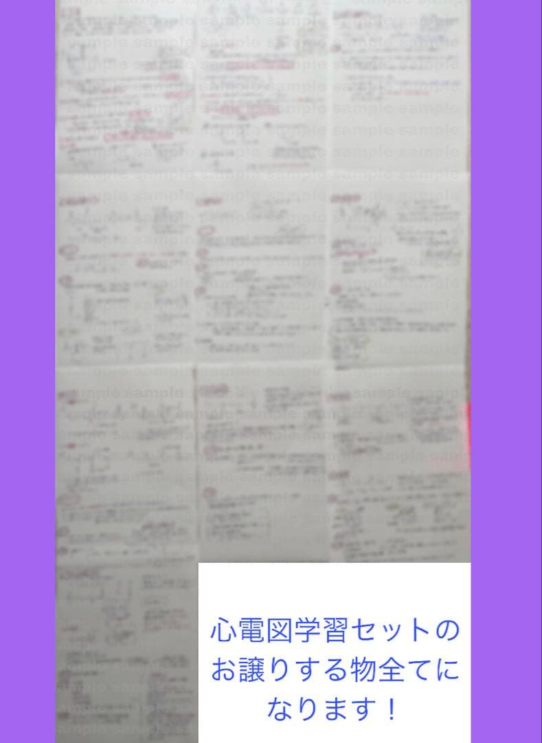 【セット割引！】循環器疾患をわかりやすく解説！　看護師国家試験対策　実習　必修