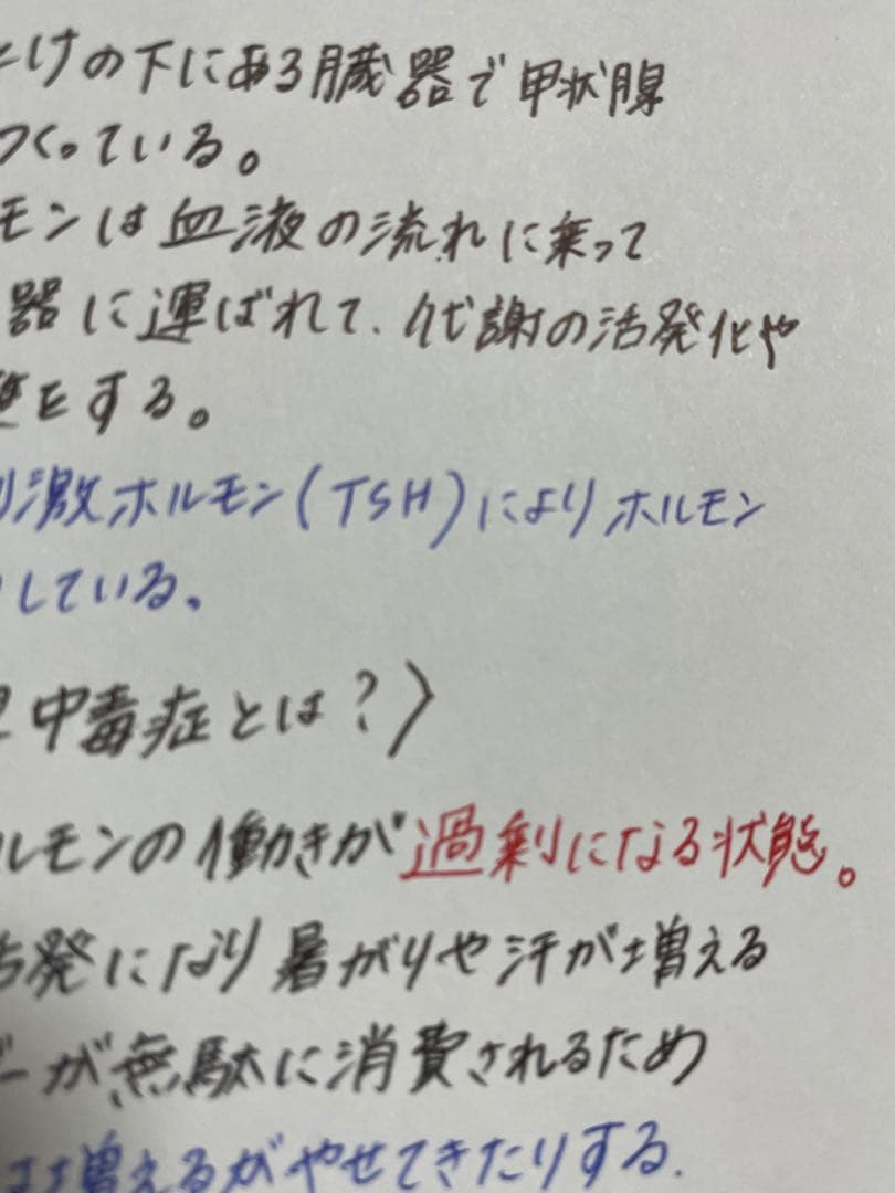 【セット割引！】循環器疾患をわかりやすく解説！　看護師国家試験対策　実習　必修