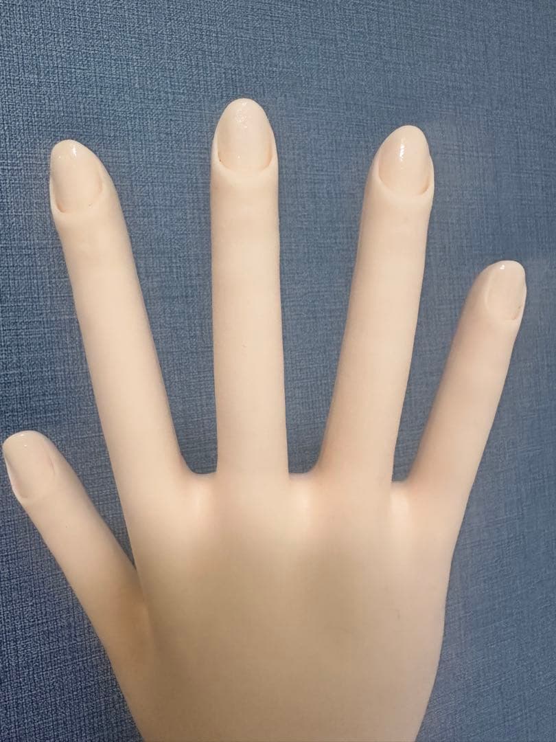 ネイリスト技能検定試験用　JNEC認定モデルハンド