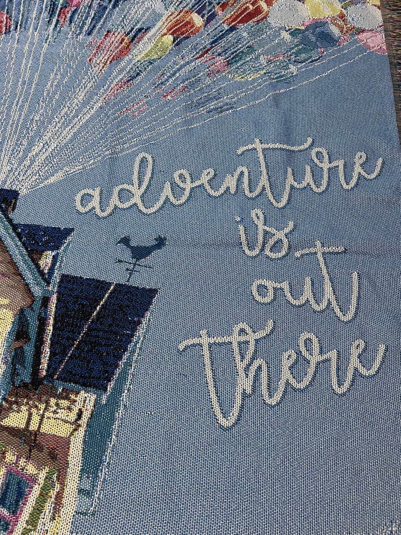 カールじいさんの空飛ぶ家　USA限定　ラグマット　レア　ピクサー