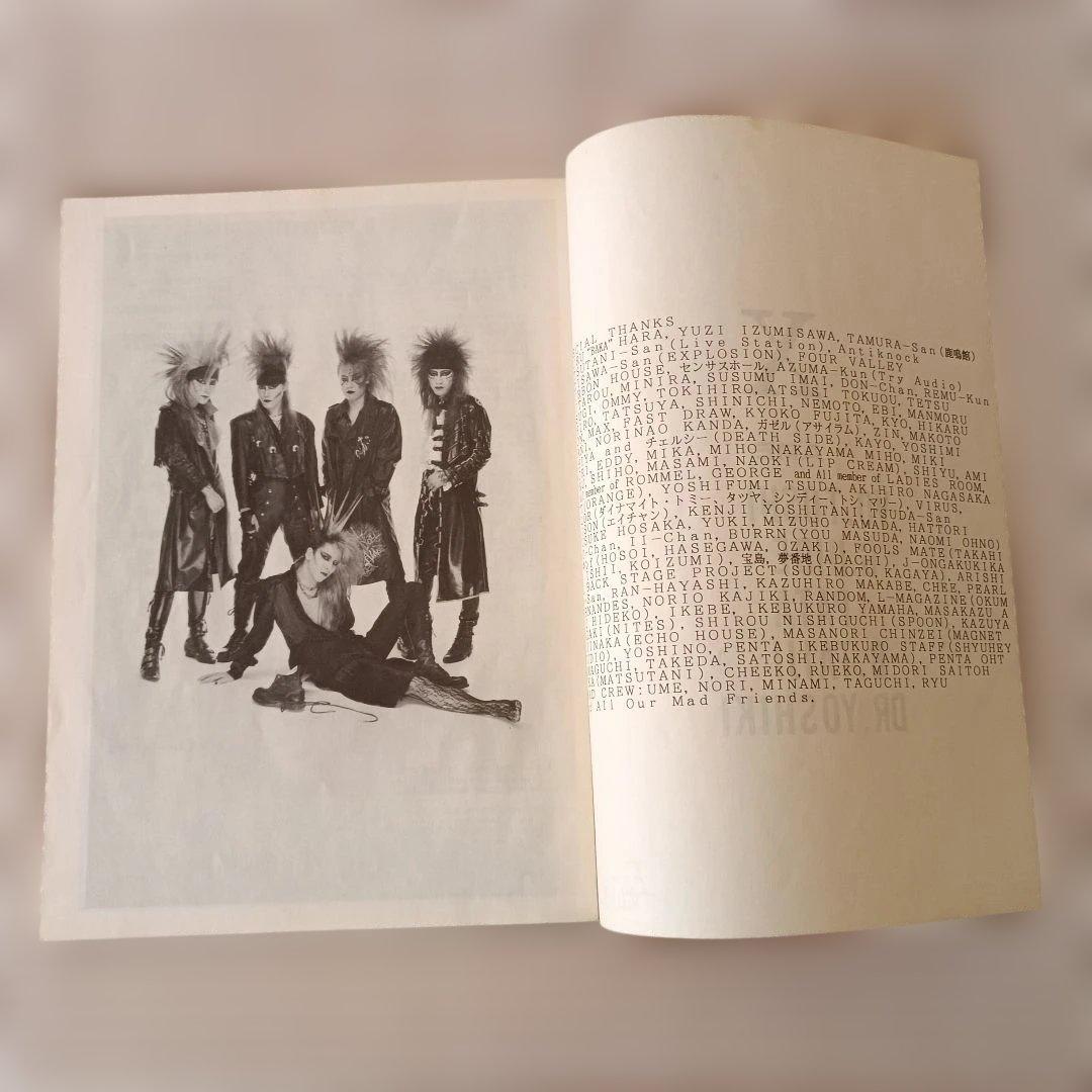 X 「VANISHING VISION」 LP