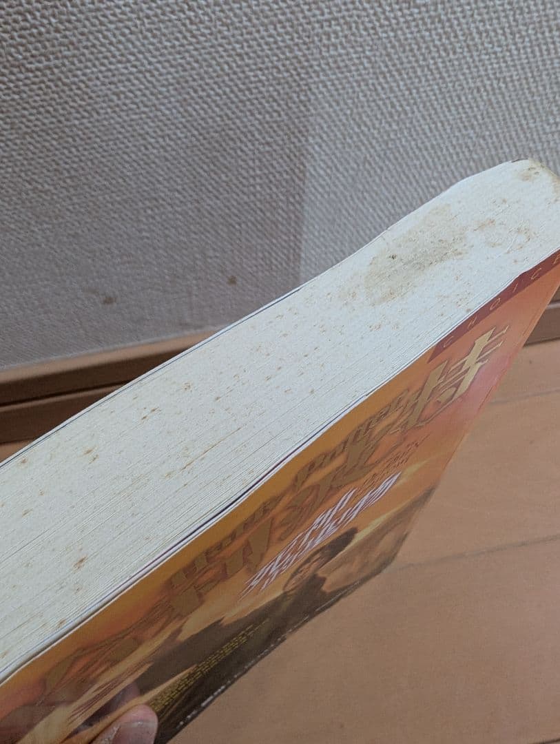 ハリー・ポッター 死神の聖物【中国語】レア商品