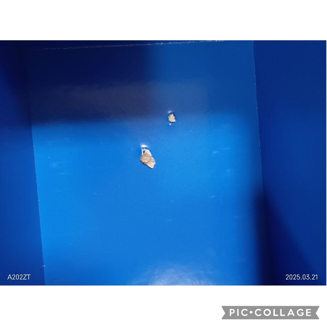 専用80‐⑱DWE ディズニー英語システム シングアロングDVD1〜12巻