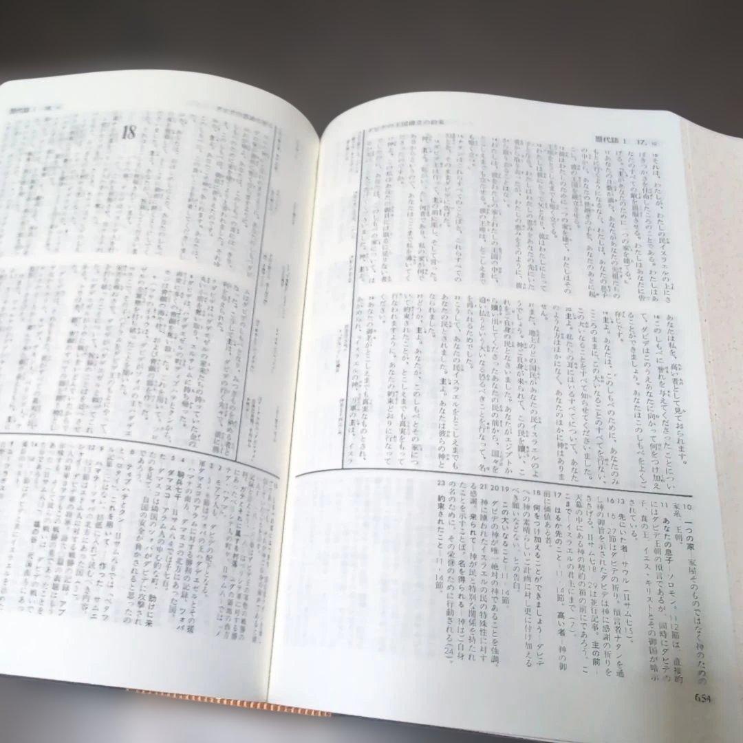 聖書 新改訳 いのちのことば社