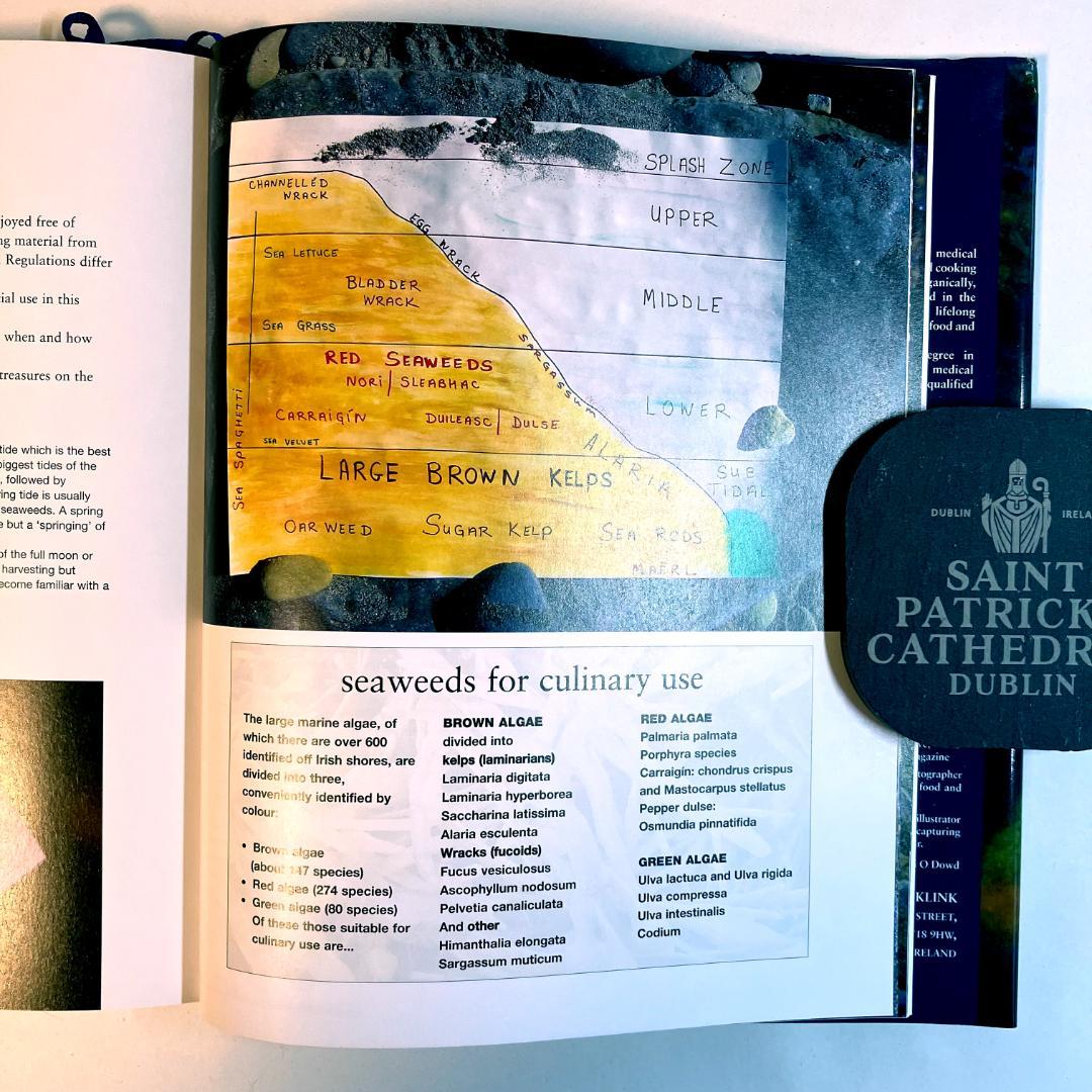 洋書 Irish Seaweed Kitchen / Prannie Rhatigan