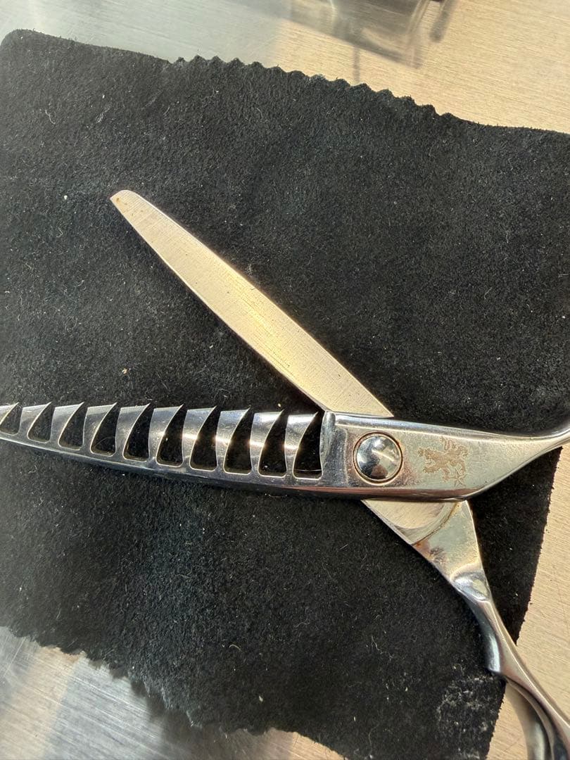 即発送可トラックスシザーsx10 6インチ